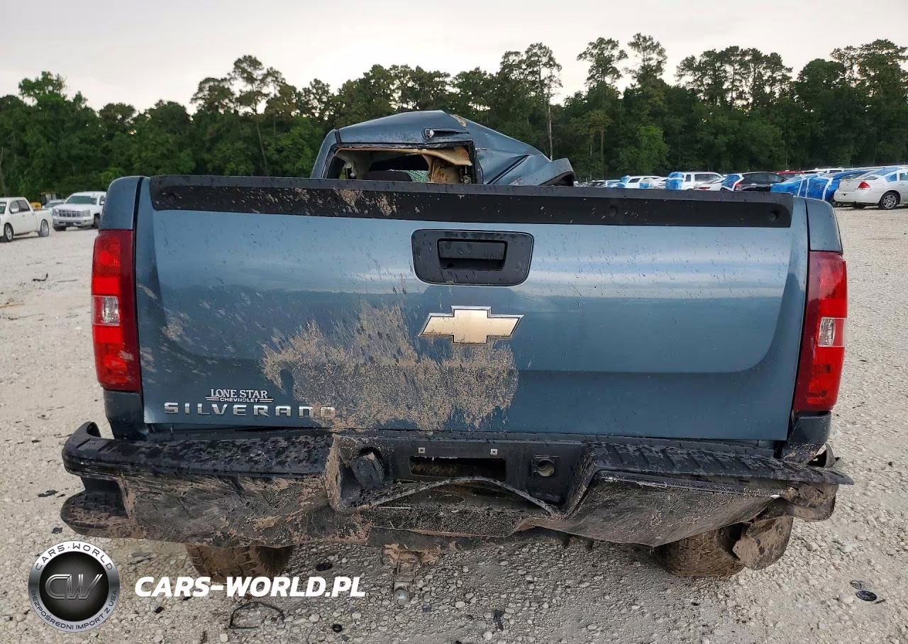 2011 Chevrolet Silverado C1500 VIN:1GCNCPEX1BZ113028 - 6