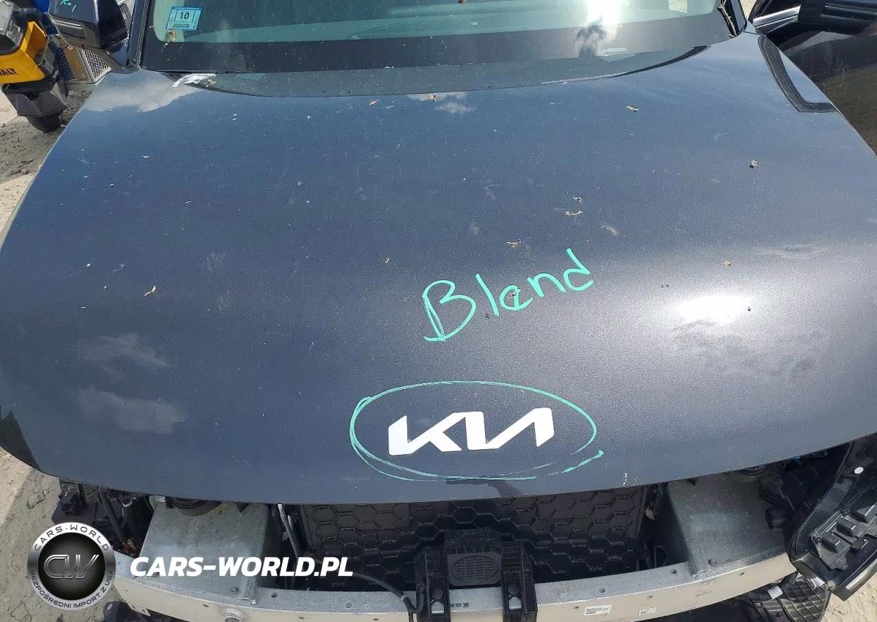 2024 Kia Ev9 Wind VIN:KNDAFFS52R6045952 - 12