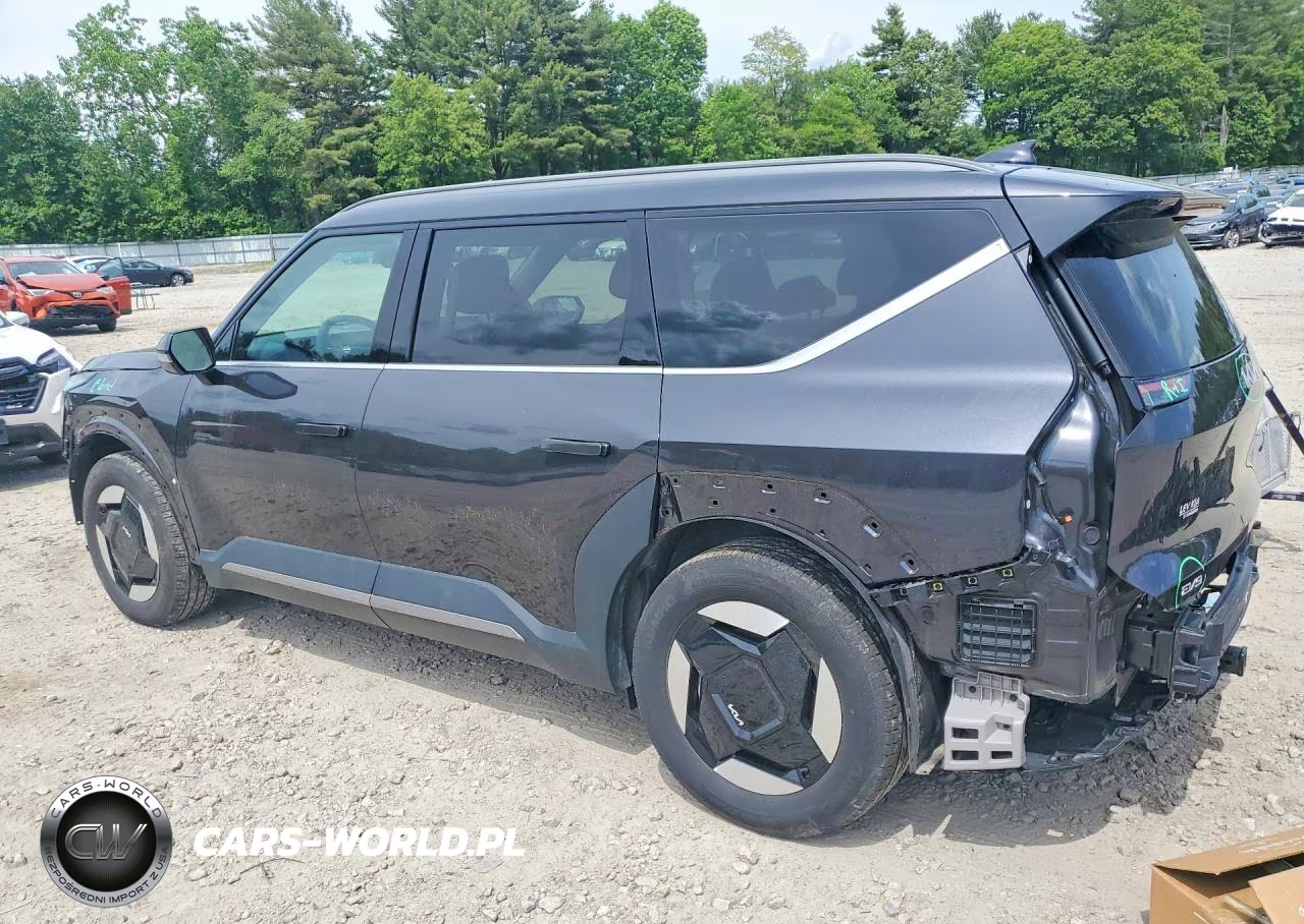 2024 Kia Ev9 Wind VIN:KNDAFFS52R6045952 - 2