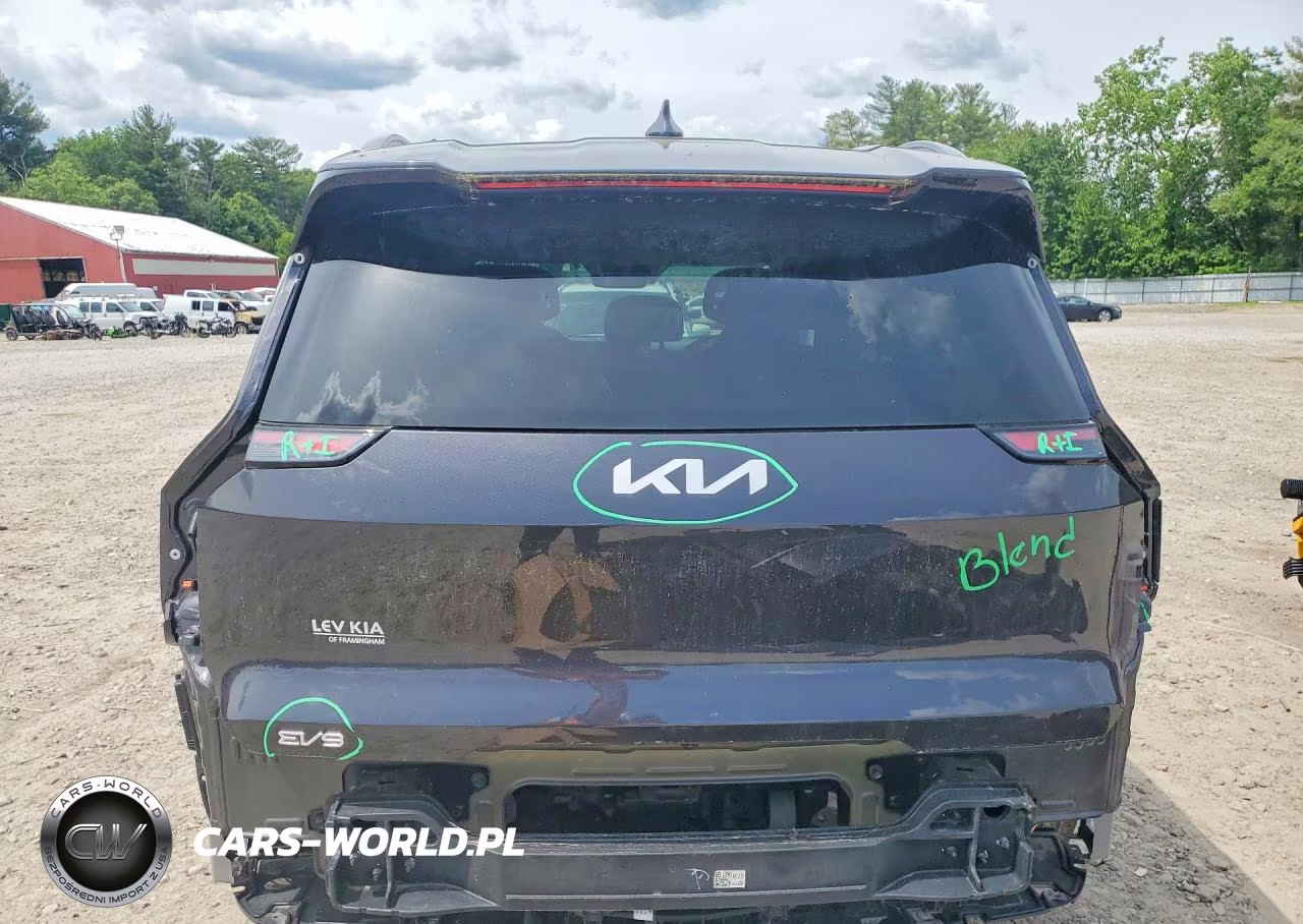 2024 Kia Ev9 Wind VIN:KNDAFFS52R6045952 - 6