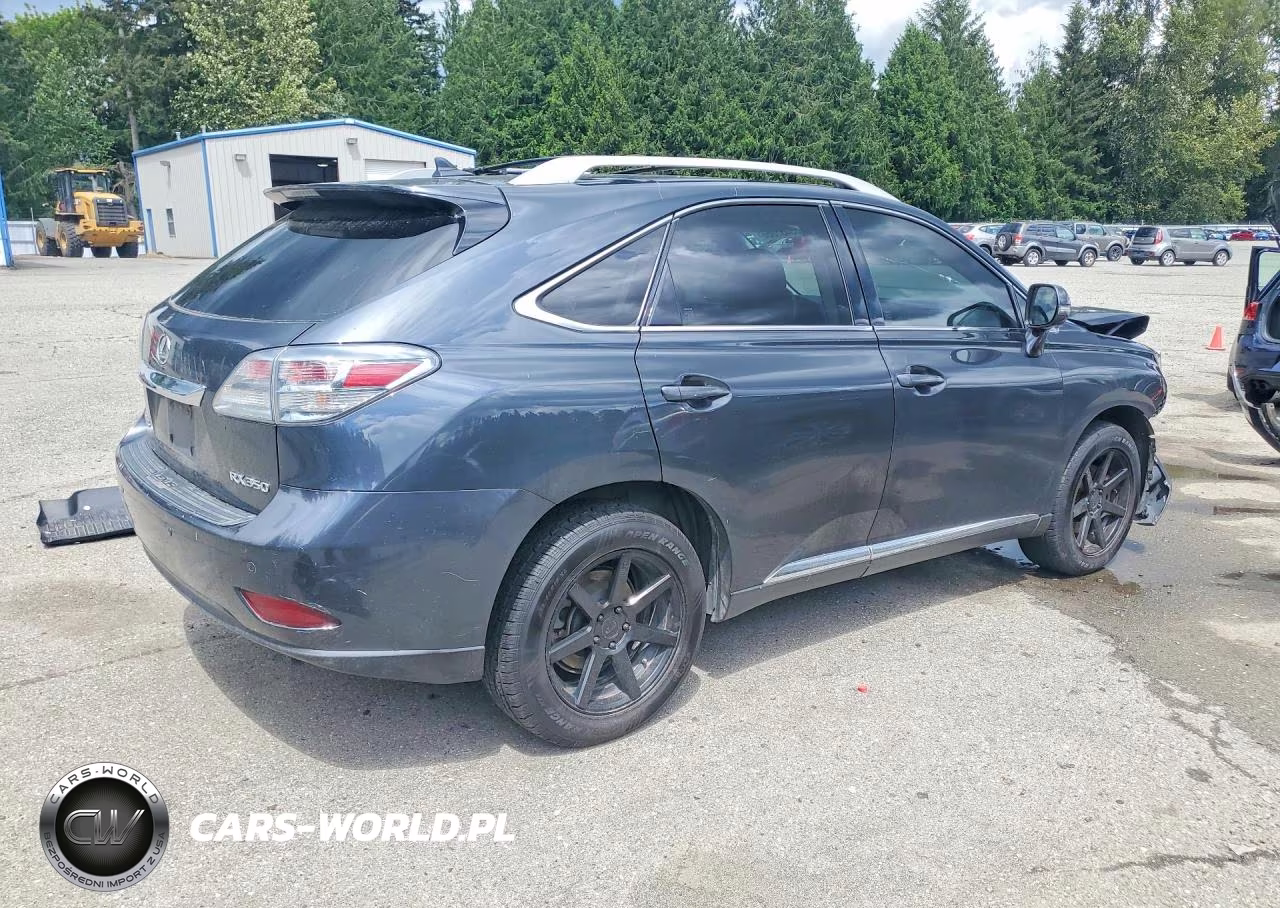 2010 Lexus Rx 350 VIN:JTJBK1BA3A2429506 - 3
