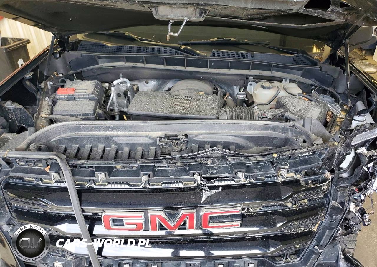 2019 GMC Sierra K1500 Elevation VIN:1GTR9CED2KZ346866 - 11