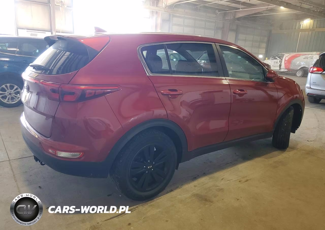 2019 Kia Sportage Lx VIN:KNDPM3AC0K7557692 - 3