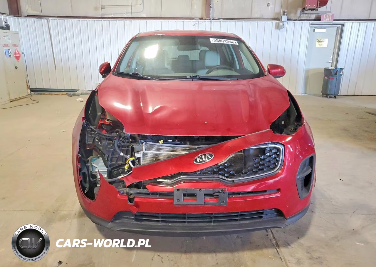 2019 Kia Sportage Lx VIN:KNDPM3AC0K7557692 - 5