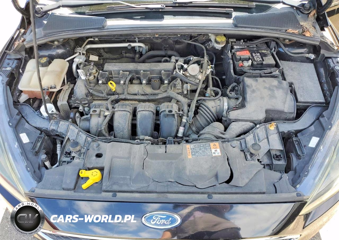 2016 Ford Focus Se VIN:1FADP3F27GL404094 - 11