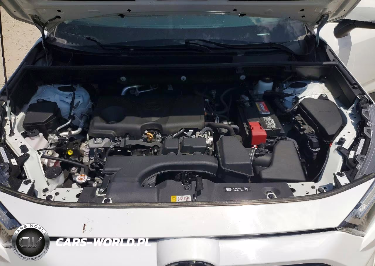 2023 Toyota Rav4 Xle VIN:2T3P1RFV1PC372702 - 12