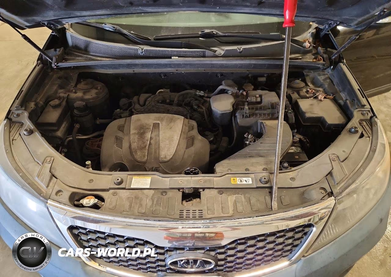 2013 Kia Sorento Lx VIN:5XYKTDA24DG402630 - 12