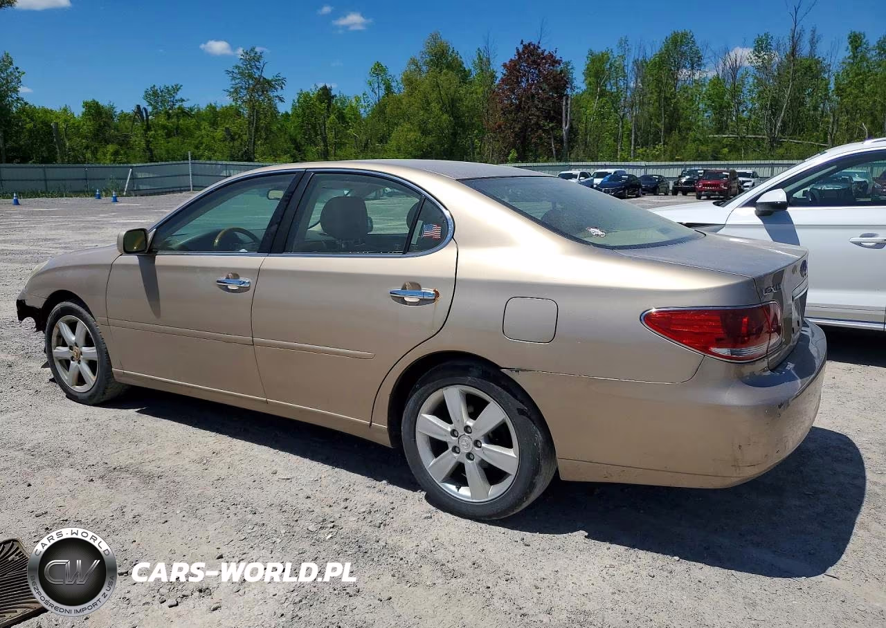 2005 Lexus Es 330 VIN:JTHBA30GX55094644 - 2