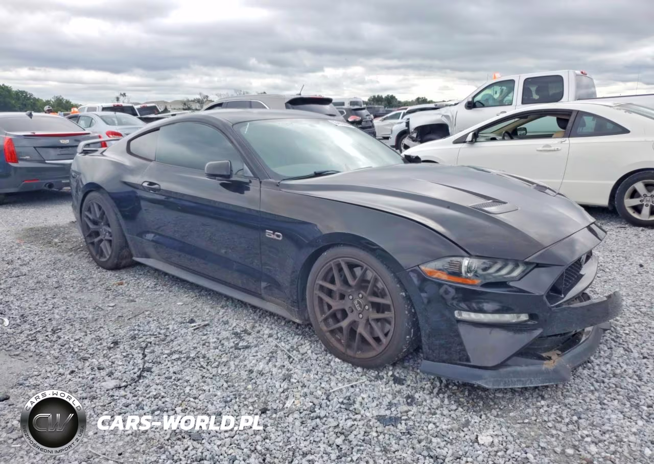 2019 Ford Mustang Gt VIN:1FA6P8CF7K5168279 - 4