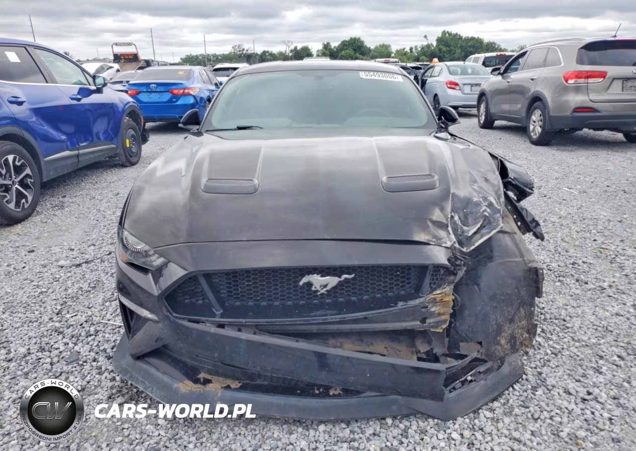 2019 Ford Mustang Gt VIN:1FA6P8CF7K5168279 - 5