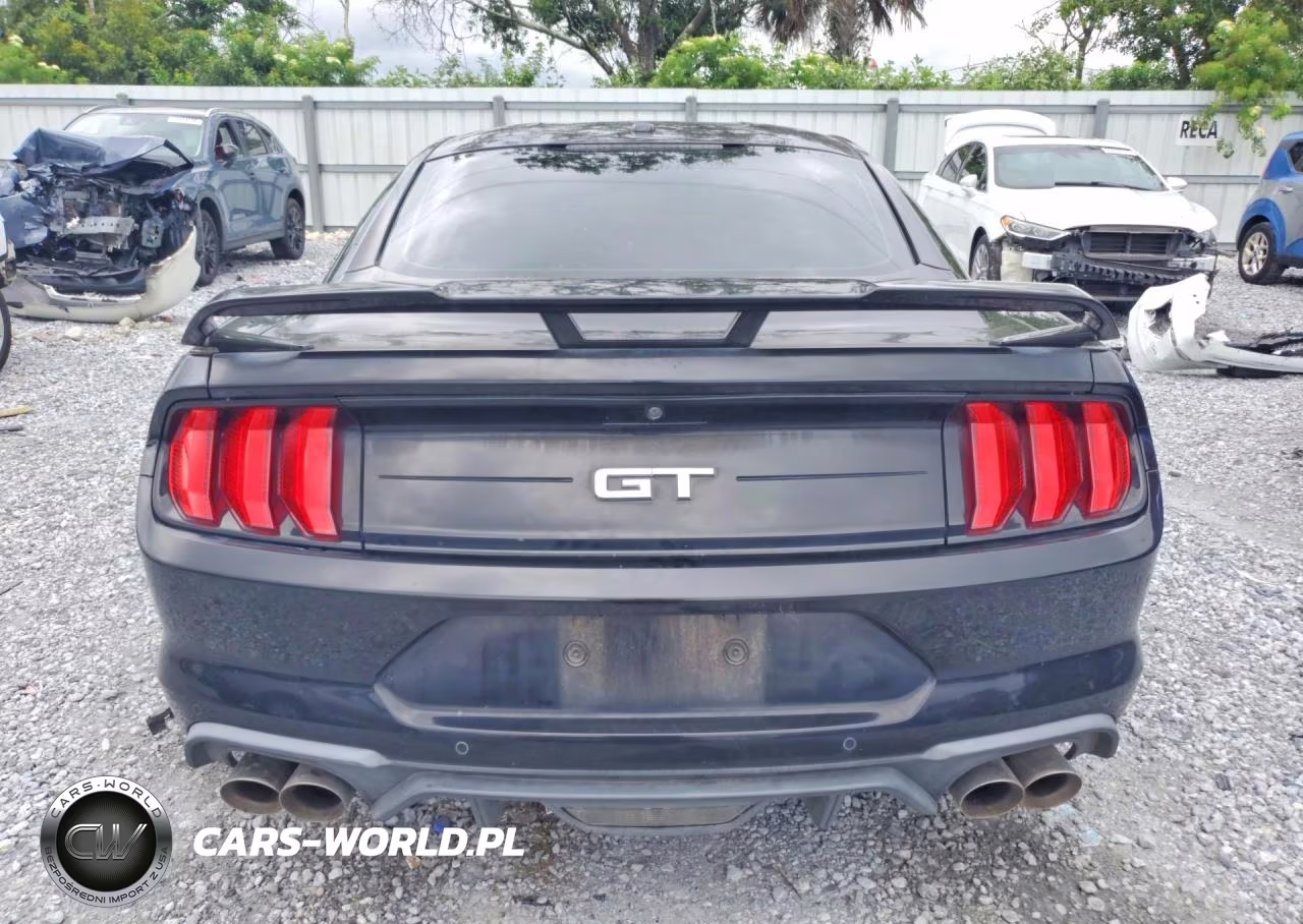 2019 Ford Mustang Gt VIN:1FA6P8CF7K5168279 - 6
