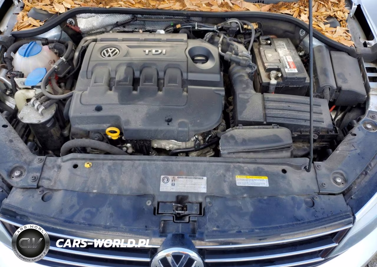 2015 Volkswagen Jetta Tdi VIN:3VWLA7AJXFM417624 - 11