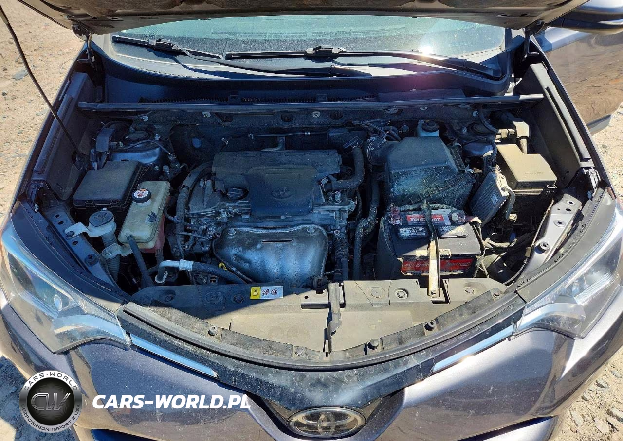 2017 Toyota Rav4 Xle VIN:JTMRFREV5HD206840 - 12