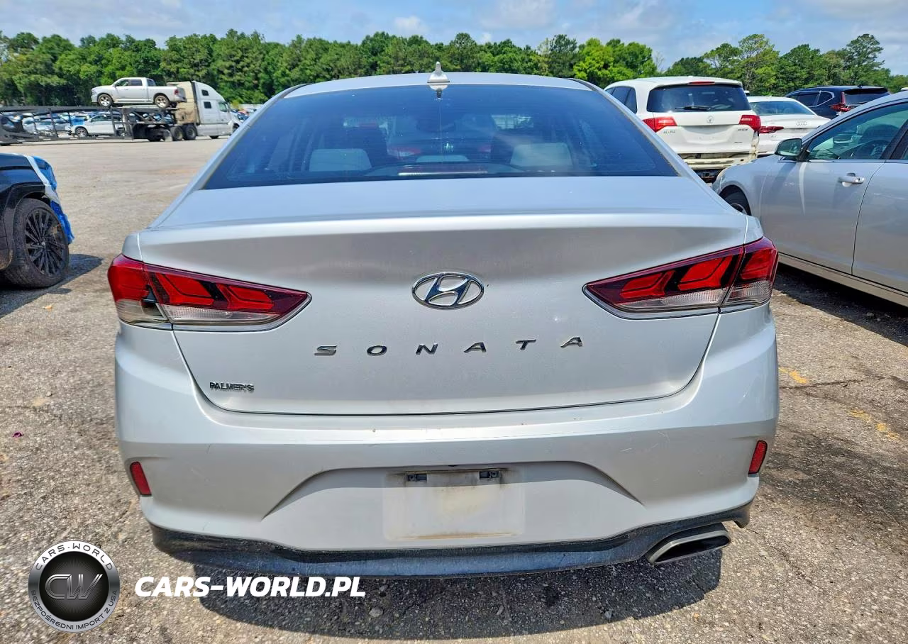 2019 Hyundai Sonata Sel VIN:5NPE34AF2KH748293 - 6