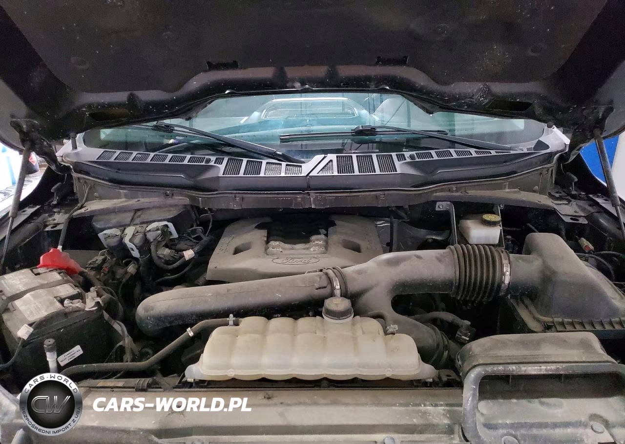2023 Ford F150 Supercrew VIN:1FTFW1E84PFB69989 - 11