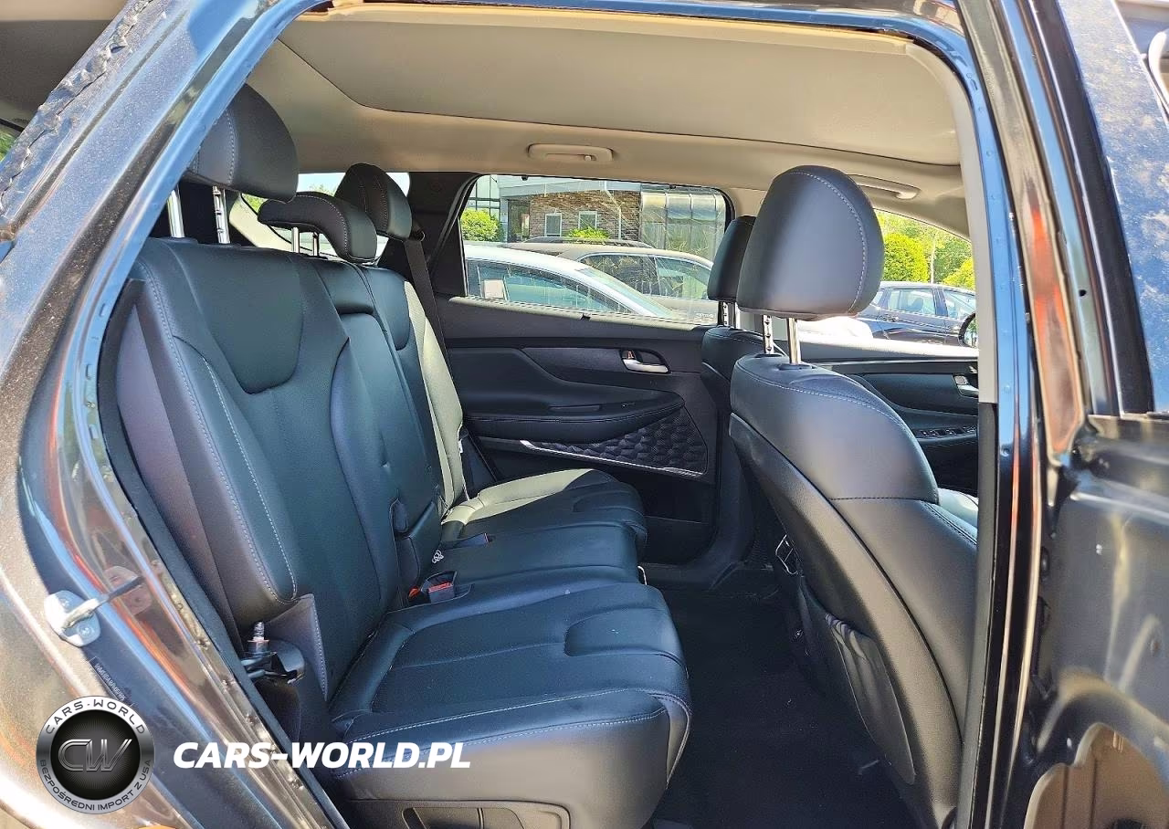 2023 Hyundai Santa Fe Sel Premium VIN:5NMS3DA16PH007995 - 11