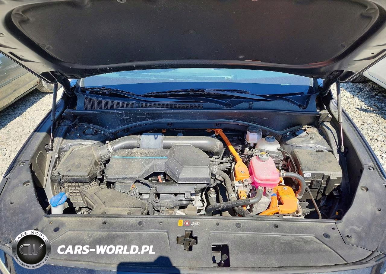 2023 Hyundai Santa Fe Sel Premium VIN:5NMS3DA16PH007995 - 12