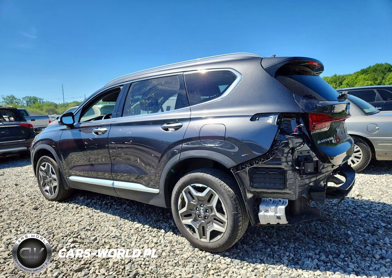 2023 Hyundai Santa Fe Sel Premium VIN:5NMS3DA16PH007995 - 2