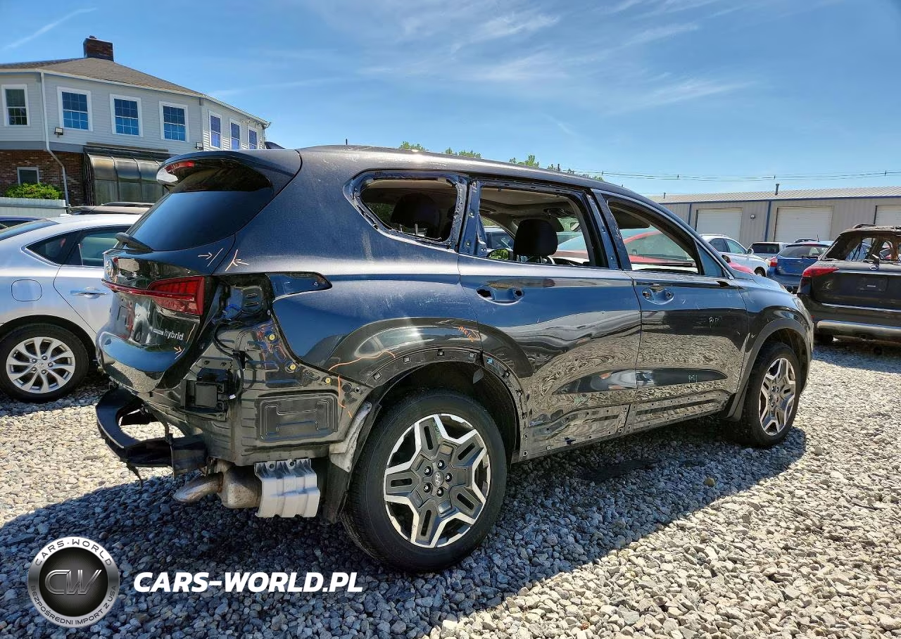 2023 Hyundai Santa Fe Sel Premium VIN:5NMS3DA16PH007995 - 3