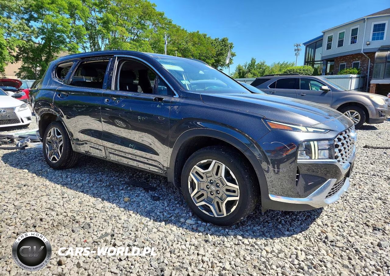 2023 Hyundai Santa Fe Sel Premium VIN:5NMS3DA16PH007995 - 4