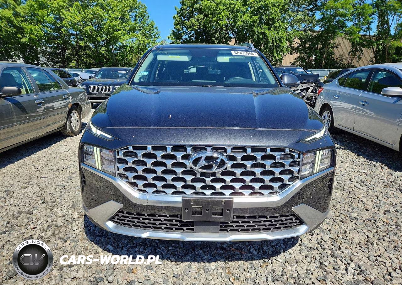 2023 Hyundai Santa Fe Sel Premium VIN:5NMS3DA16PH007995 - 5