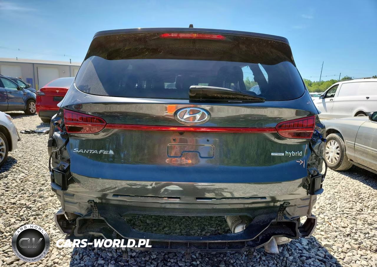 2023 Hyundai Santa Fe Sel Premium VIN:5NMS3DA16PH007995 - 6