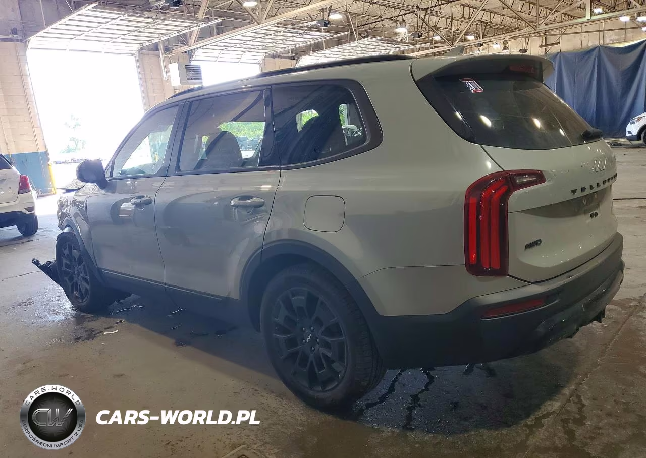 2022 Kia Telluride Ex VIN:5XYP3DHC9NG297881 - 2
