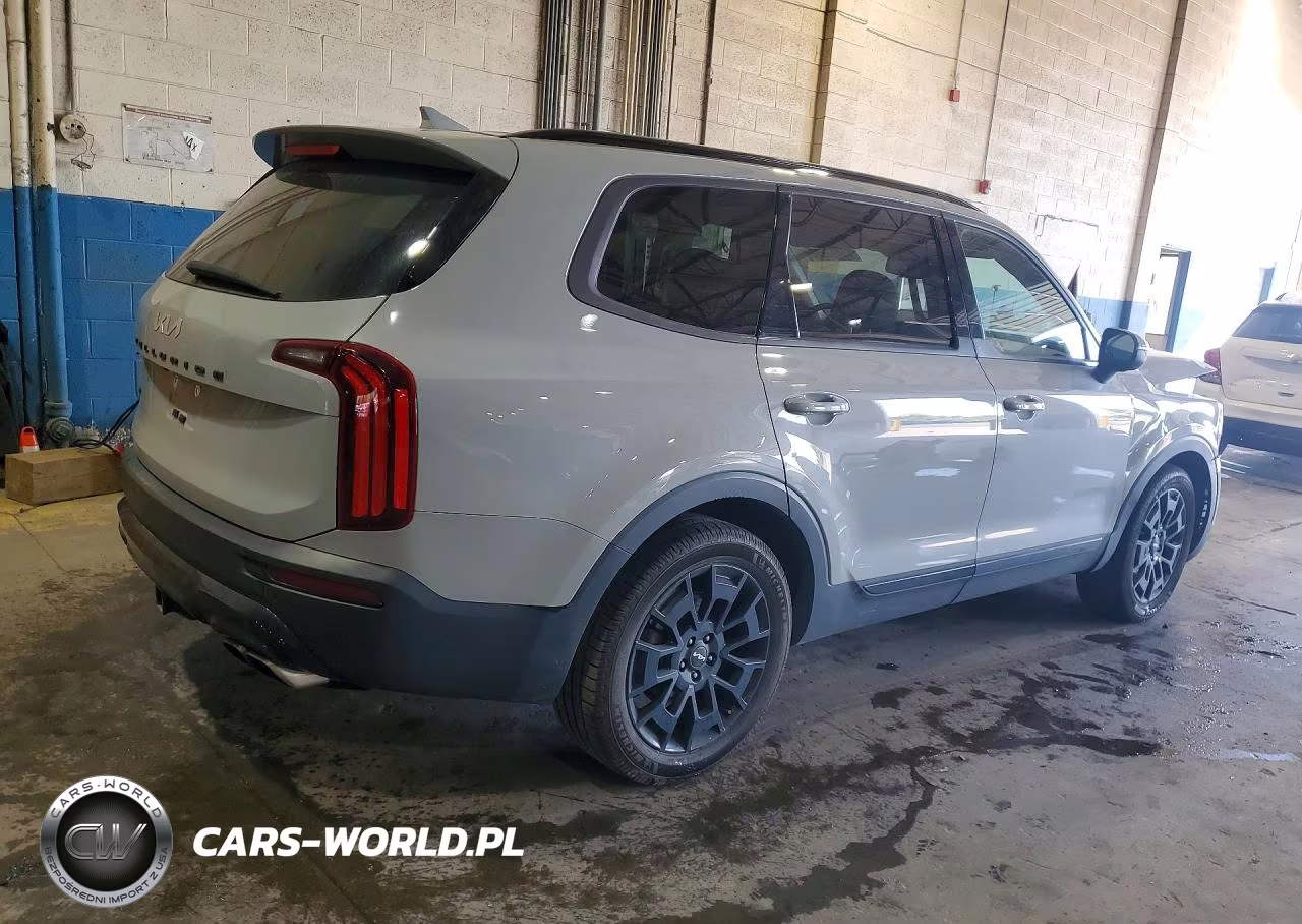2022 Kia Telluride Ex VIN:5XYP3DHC9NG297881 - 3