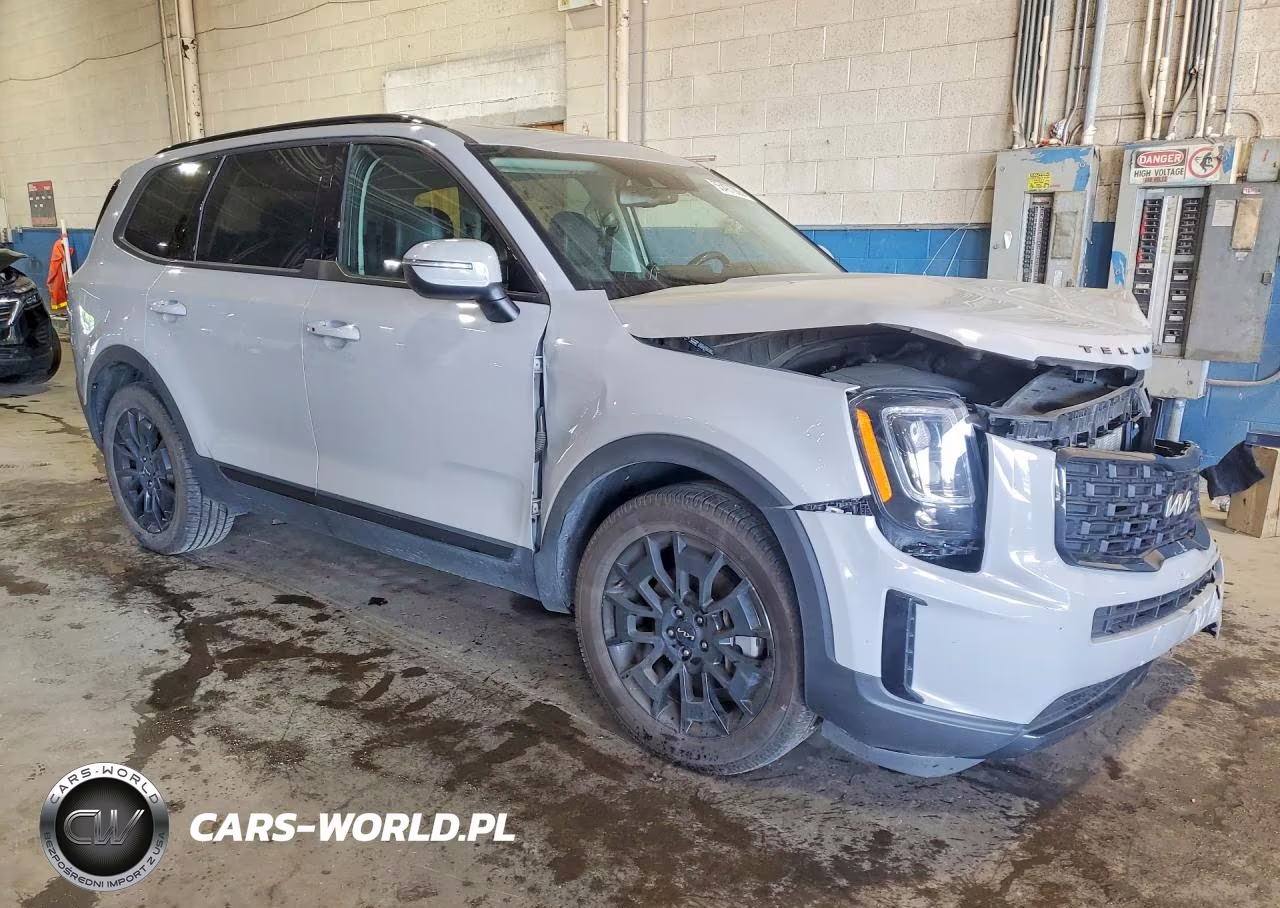 2022 Kia Telluride Ex VIN:5XYP3DHC9NG297881 - 4