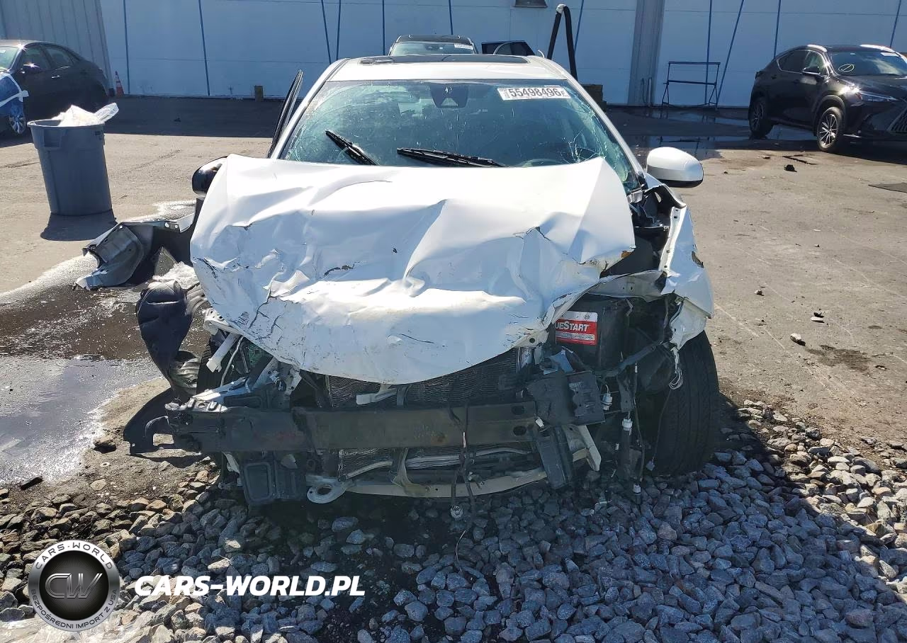 2019 Toyota Corolla Xle VIN:5YFBURHE7KP880544 - 5