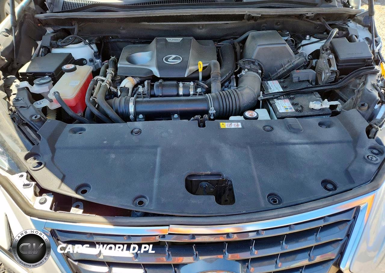 2021 Lexus Nx 300 Base VIN:JTJDARDZ9M5028106 - 12