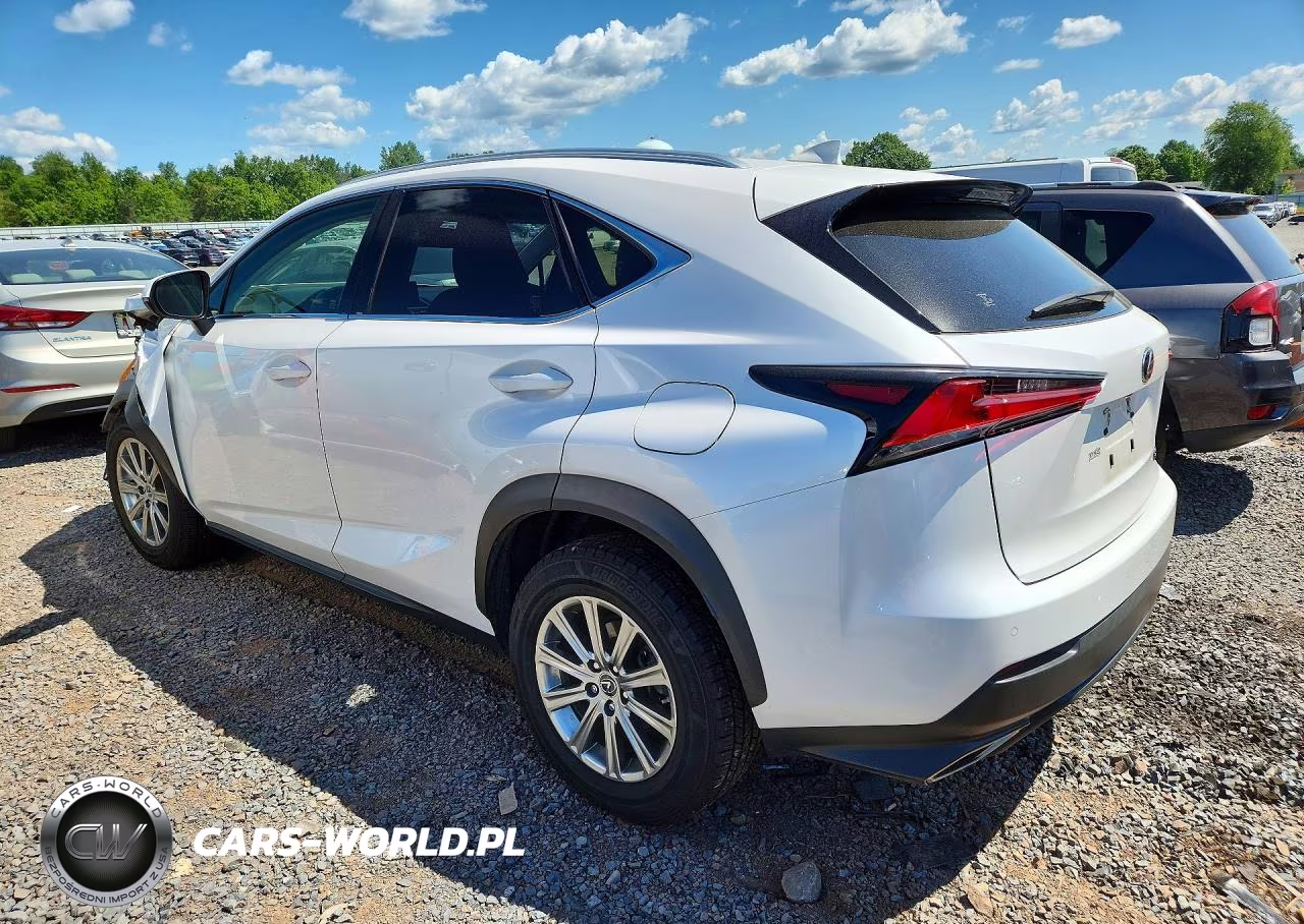 2021 Lexus Nx 300 Base VIN:JTJDARDZ9M5028106 - 2