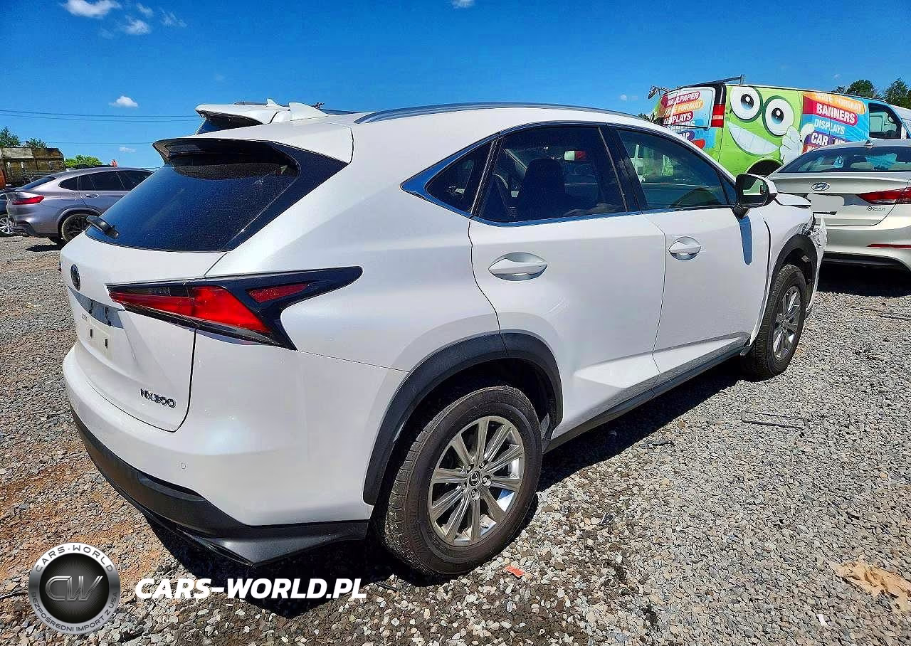 2021 Lexus Nx 300 Base VIN:JTJDARDZ9M5028106 - 3