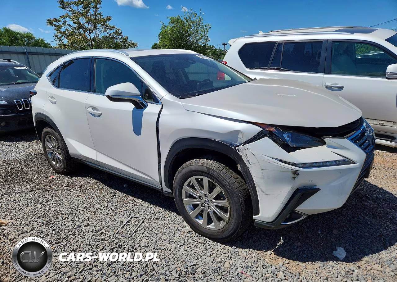 2021 Lexus Nx 300 Base VIN:JTJDARDZ9M5028106 - 4