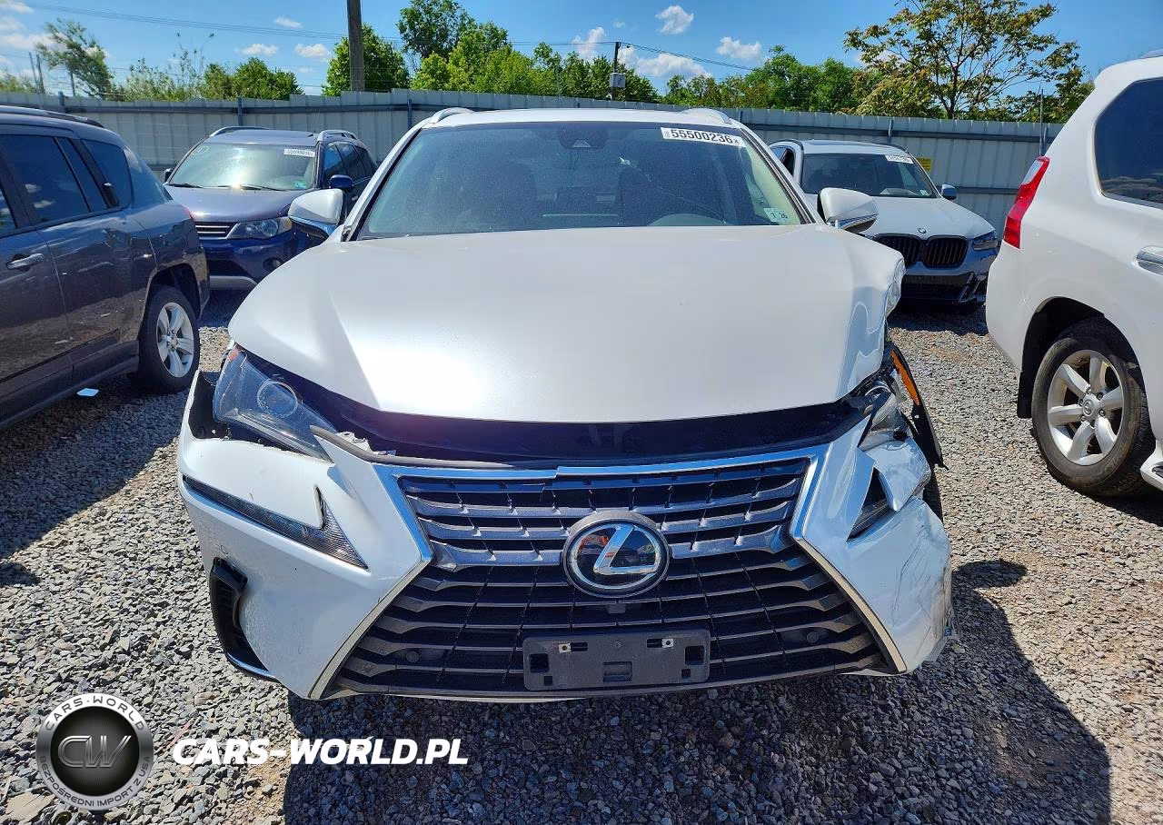 2021 Lexus Nx 300 Base VIN:JTJDARDZ9M5028106 - 5