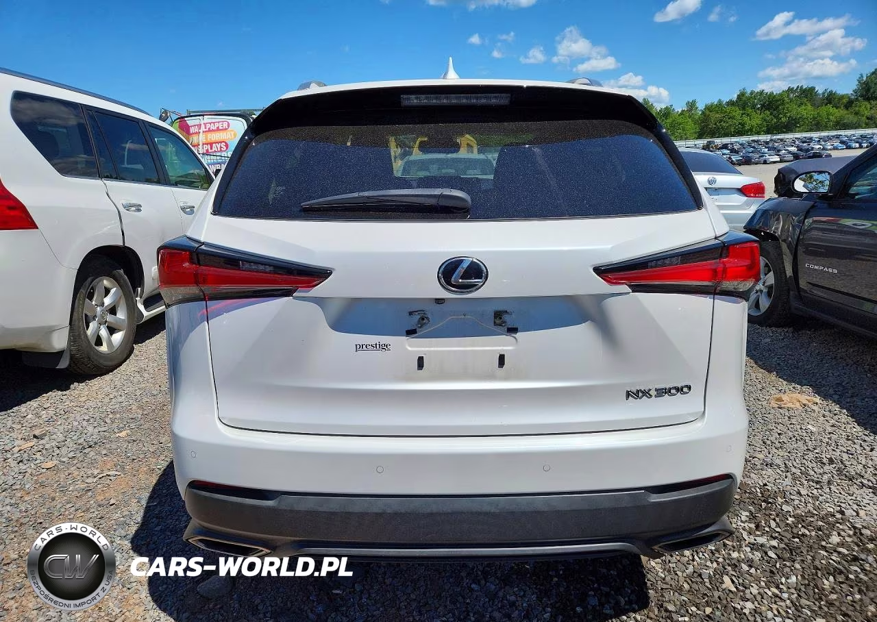 2021 Lexus Nx 300 Base VIN:JTJDARDZ9M5028106 - 6