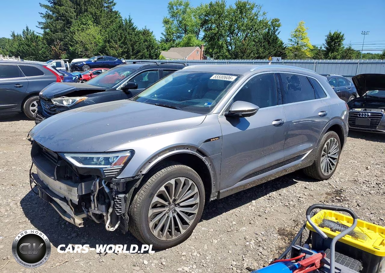 2019 Audi E-Tron Prestige