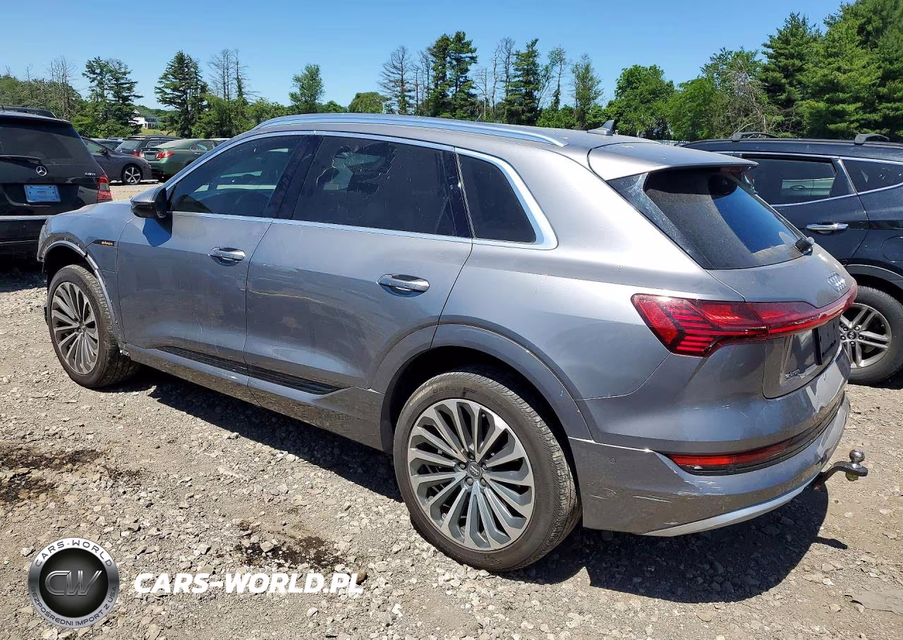 2019 Audi E-Tron Prestige VIN:WA1VABGE9KB010060 - 2