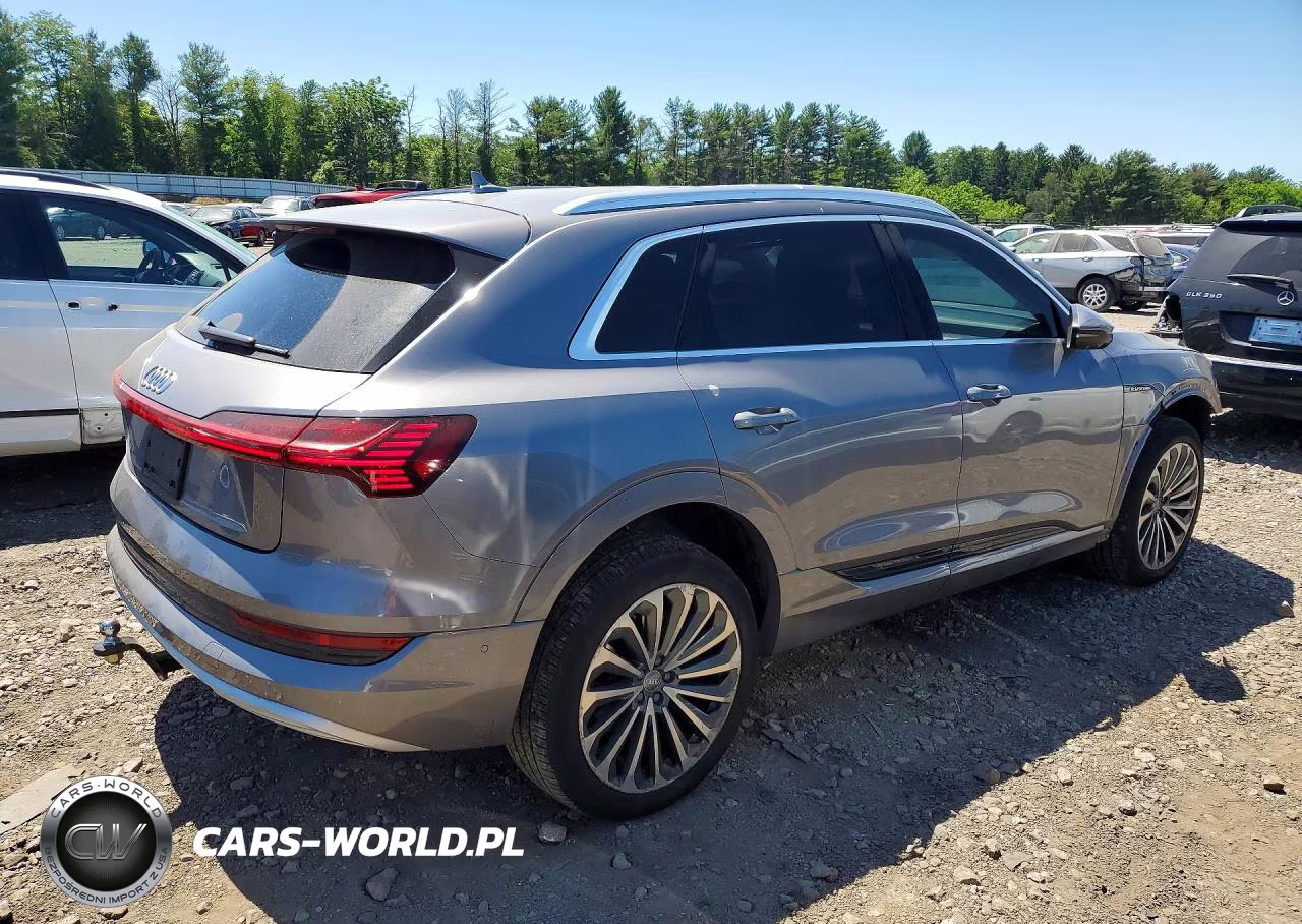 2019 Audi E-Tron Prestige VIN:WA1VABGE9KB010060 - 3