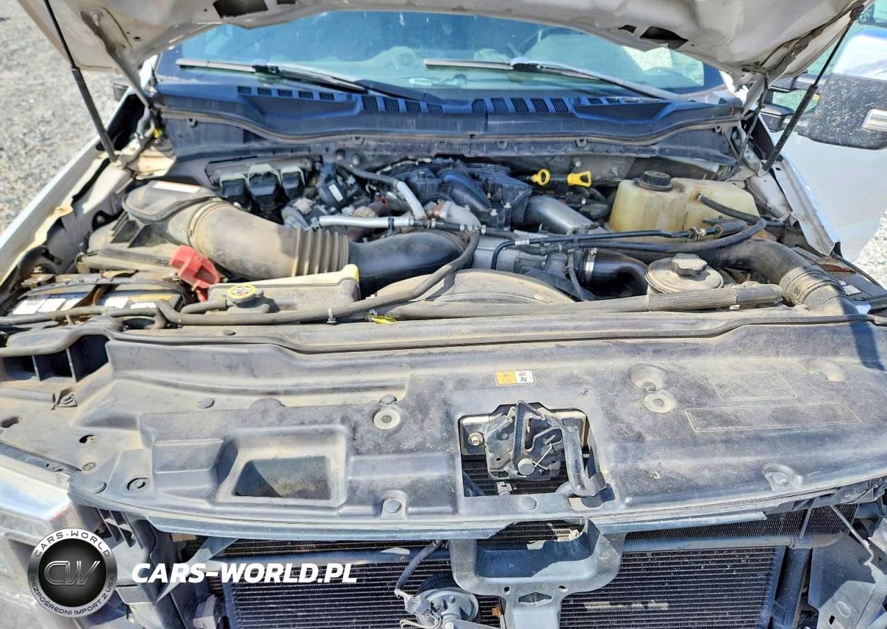 2019 Ford F250 Super Duty VIN:1FT7W2BT1KEE16435 - 11