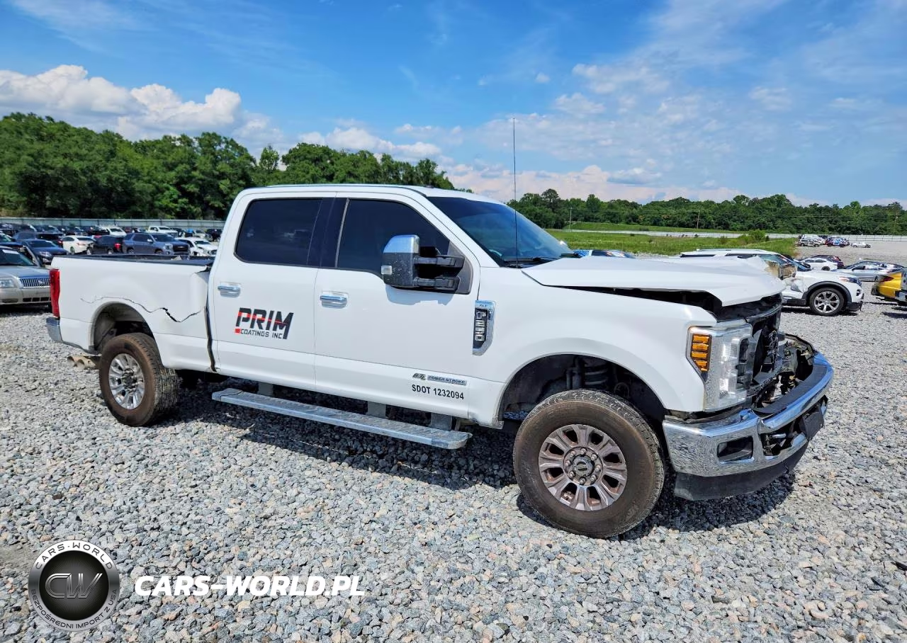 2019 Ford F250 Super Duty VIN:1FT7W2BT1KEE16435 - 4