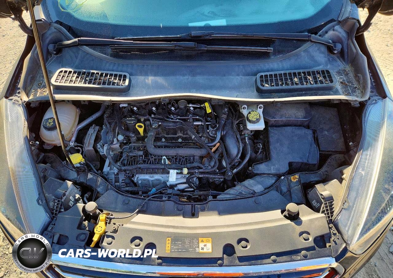 2019 Ford Escape Se VIN:1FMCU9GD4KUA50910 - 12