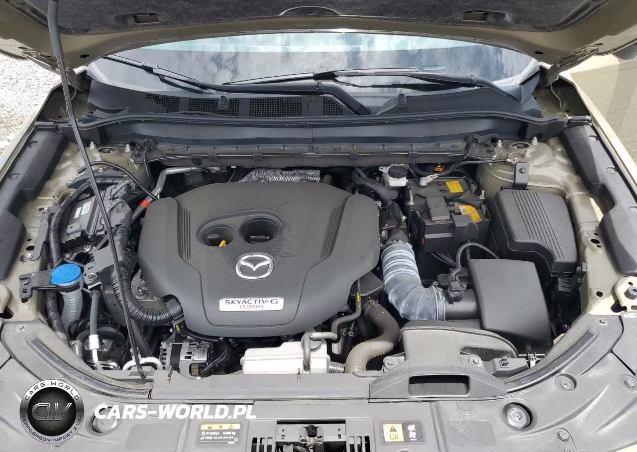 2024 Mazda Cx-5 Carbon Turbo VIN:JM3KFBAY5R0413821 - 12