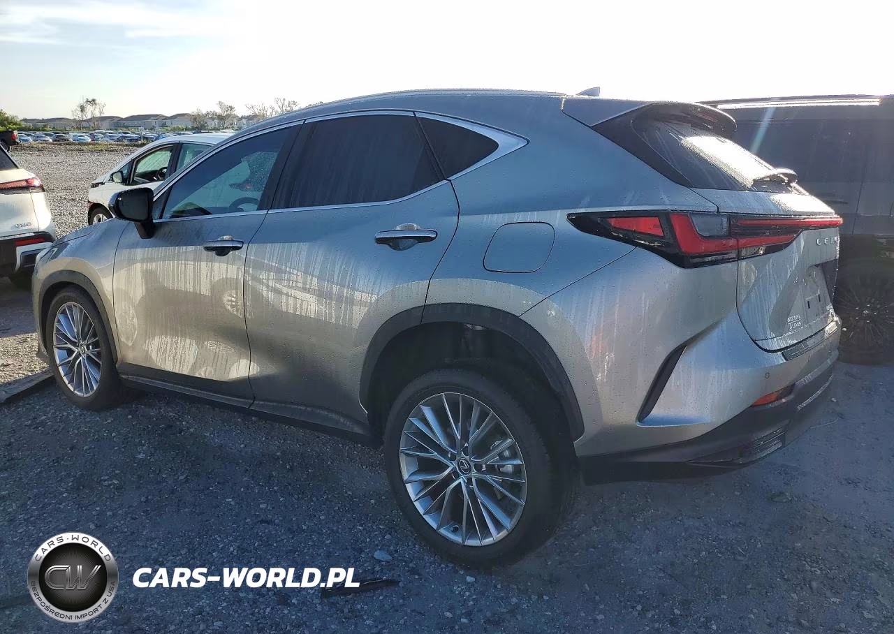 2025 Lexus Nx 350 Premium VIN:2T2GGCEZ7SC072904 - 2