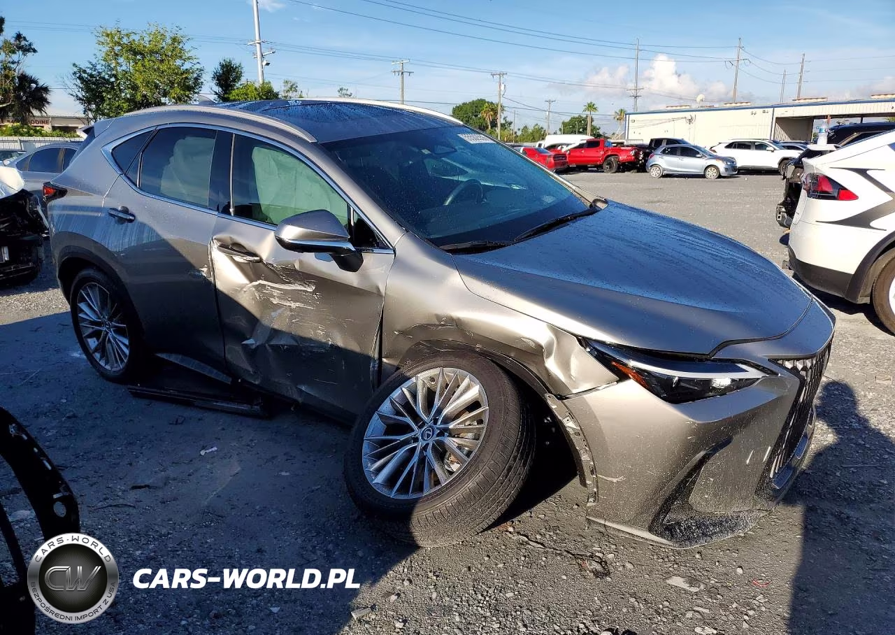 2025 Lexus Nx 350 Premium VIN:2T2GGCEZ7SC072904 - 4