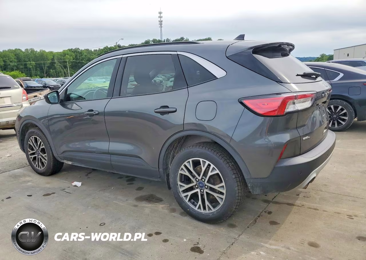 2020 Ford Escape Sel VIN:1FMCU9H67LUA82509 - 2