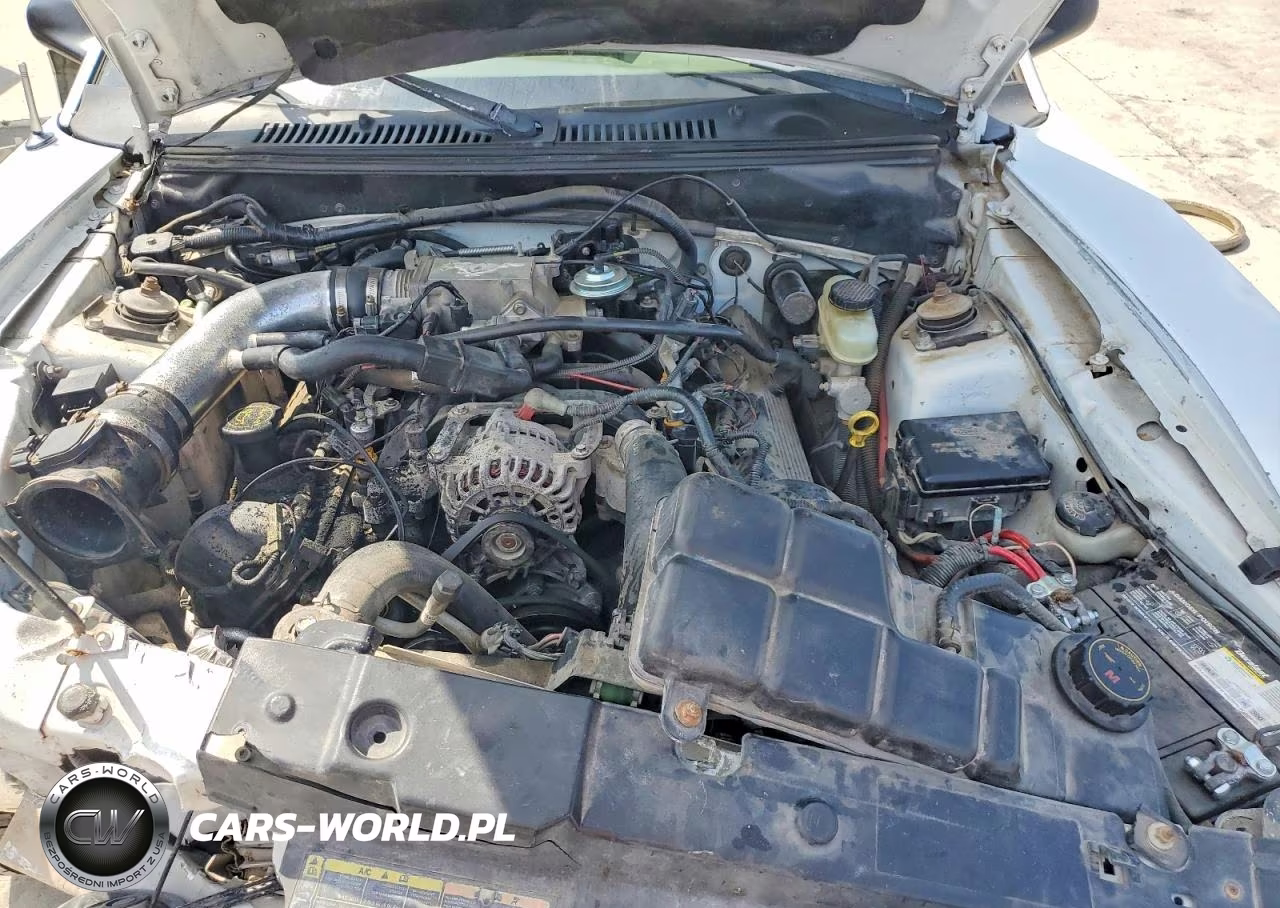 2002 Ford Mustang Gt VIN:1FAFP42X92F186912 - 11