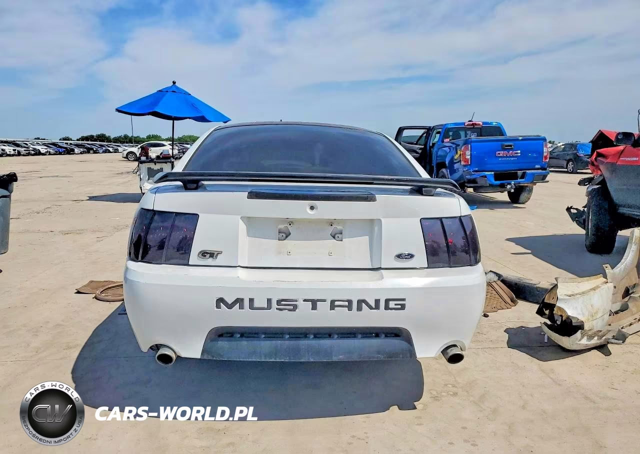 2002 Ford Mustang Gt VIN:1FAFP42X92F186912 - 6