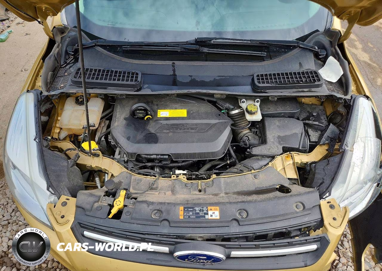 2015 Ford Escape Se VIN:1FMCU9GX2FUC63175 - 12