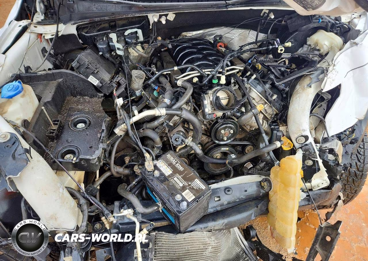 2019 Ford F150 Supercrew VIN:1FTFW1E53KKD03672 - 11